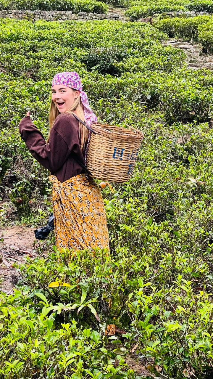 WhatsApp Image 2025-12-26 at 1.25.30 PM