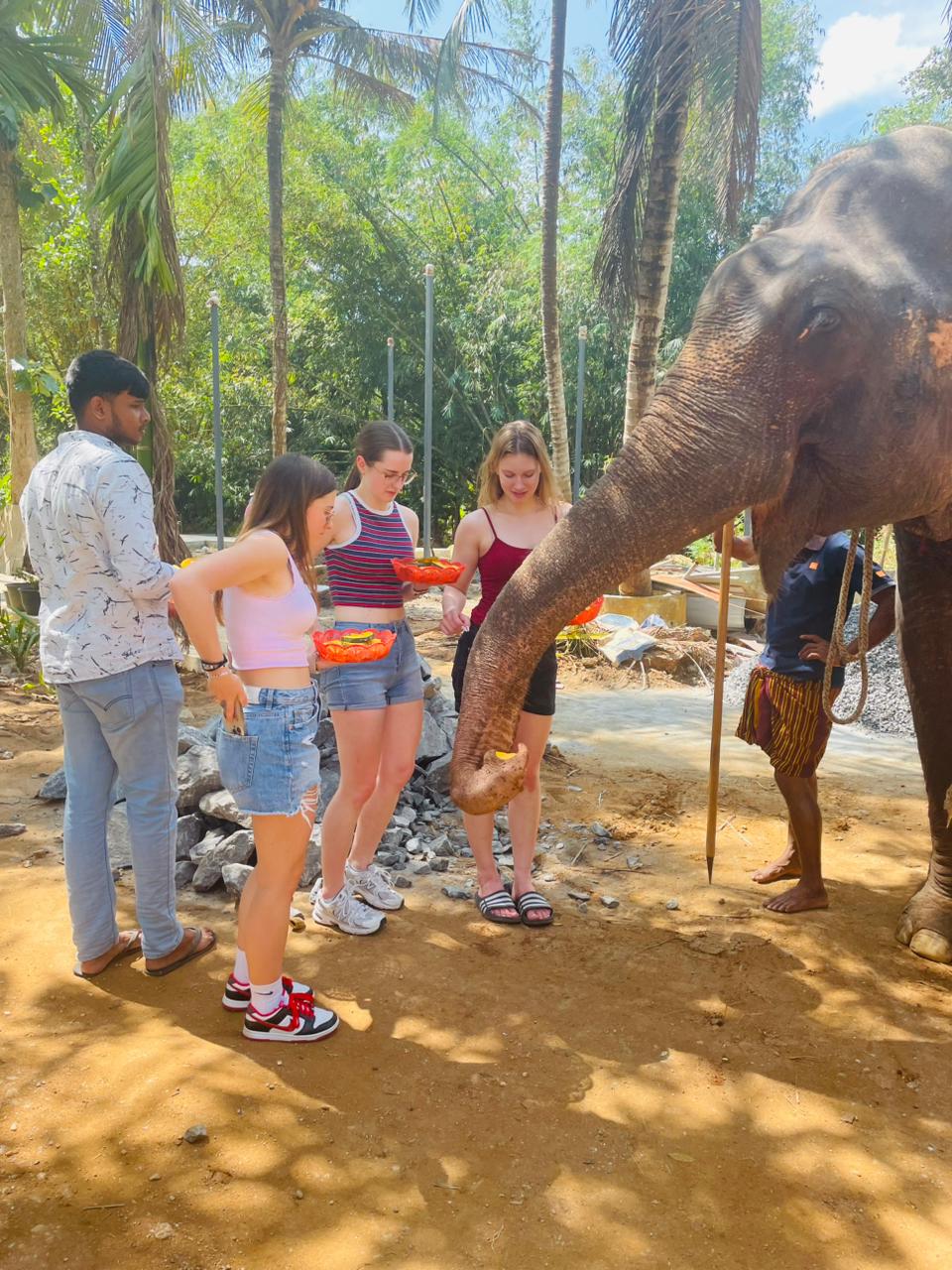 WhatsApp Image 2025-12-26 at 1.25.31 PM (1)