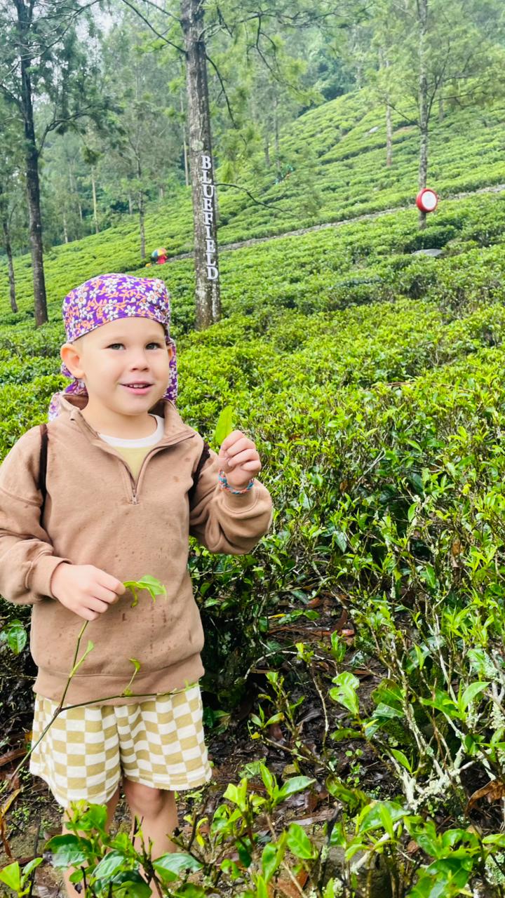 WhatsApp Image 2025-12-26 at 1.25.33 PM